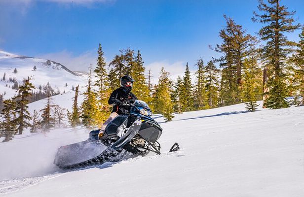 Tahoe Snowmobiling Tours
