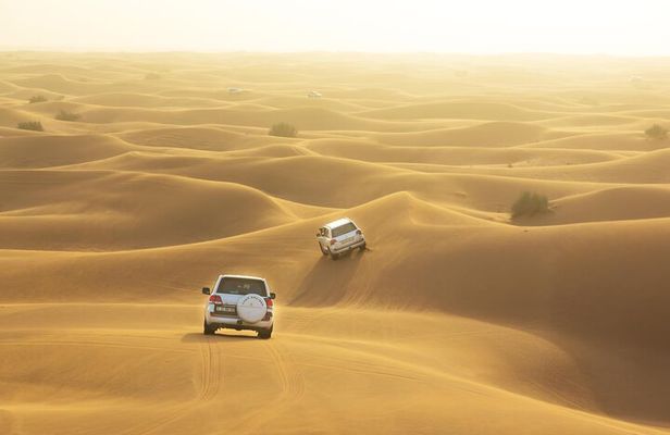 Desert Safari Adventure Hotel Transfer Camel Ride with Quadbike