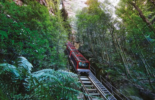 Blue Mountains Adventure w Scenic World, Zoo, Koala Photo & Ferry