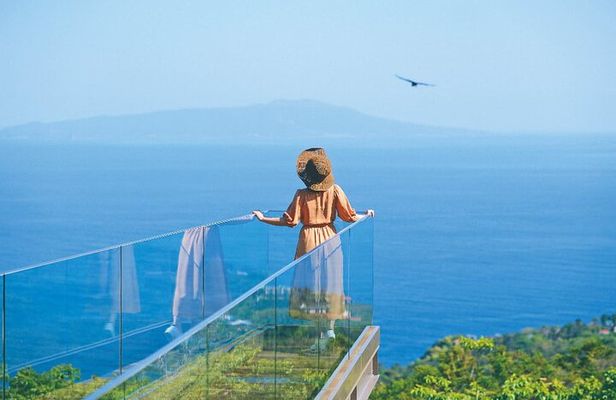 Ultimate View Izu Tour with Hotel Pickup, japanese guide