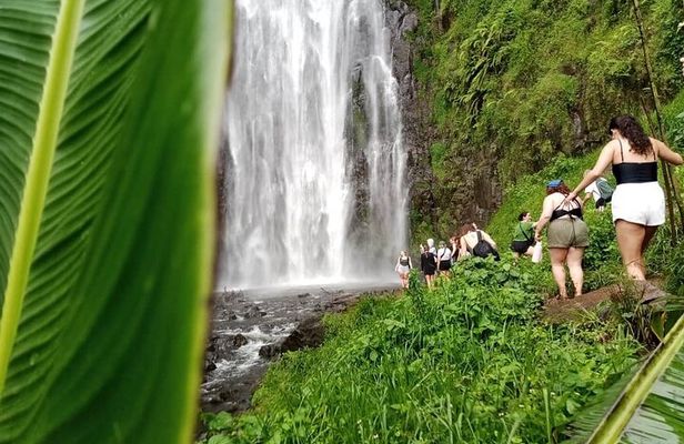 Materuni Waterfalls Hiking Tour with Coffee and Traditional Meal
