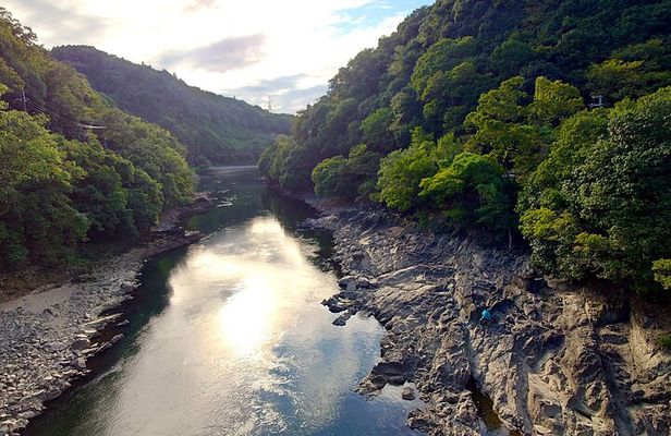 Slow Cycling Tour at Uji's Matcha Green Tea Fields and Heritage