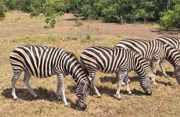 Accra Safari and Boat Cruise - Full Day Private Tour