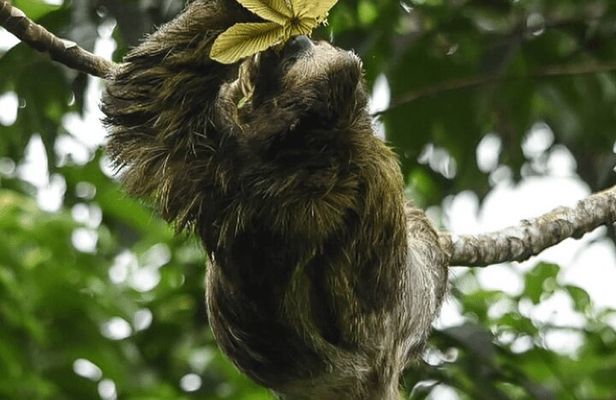 Manuel Antonio National Park *Group tour/Park ticket NOT included