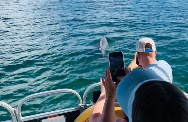 Destin Boat Ride