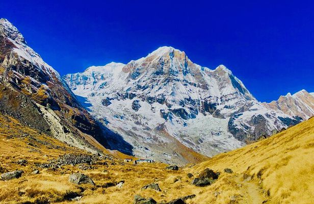 11-Day Annapurna Base Camp Trek