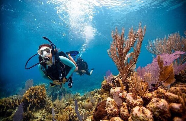 Discover Scuba Diving Adventures in Jumeirah Dubai