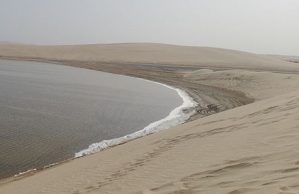 Doha: Desert Safari (Private Tour) with Pick Up & Drop Off
