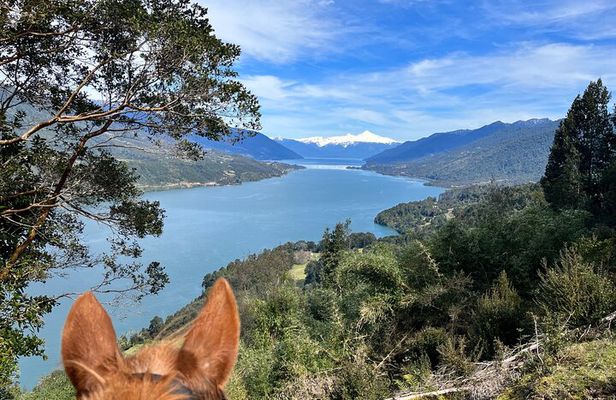 Esperanza Valley Horse ride.