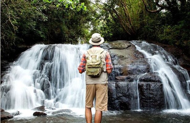 Sinharaja Rain Forest Day Tour from Mirissa, Galle, Bentota Area