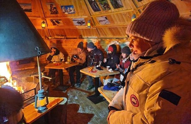 Lapland In A Day - Reindeer, Sledding, Snowmobile & Nature