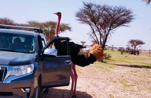Budget Erg Chigaga Safari One Night.