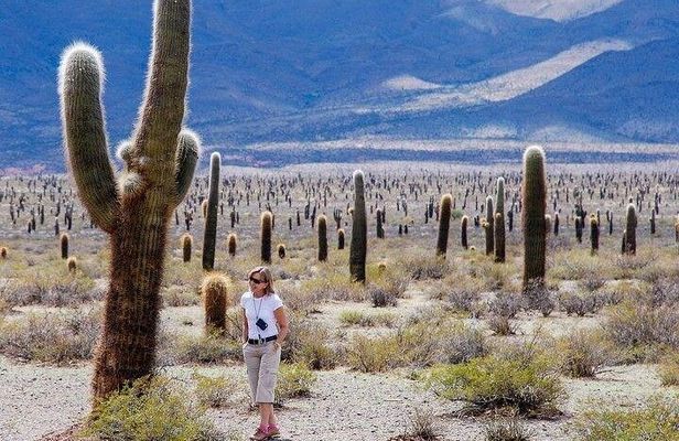 Tour to Cachi from Salta