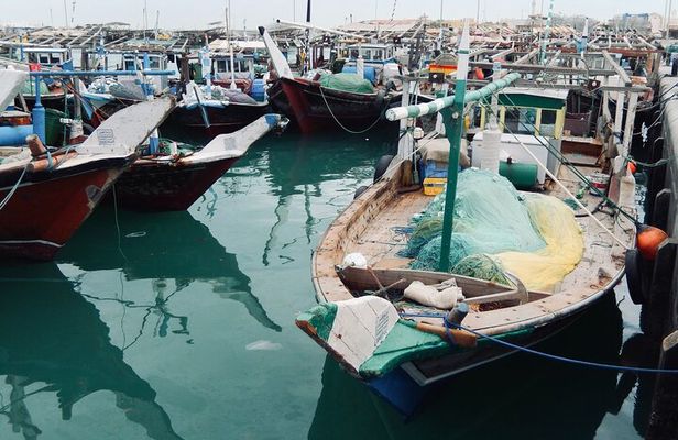 North Qatar Guided Expedition to Nature Charms