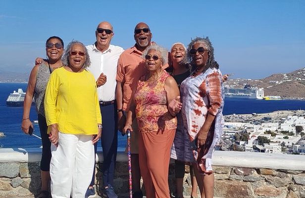 Mykonos Small Group Tour for Cruise Passengers — Port Pickup