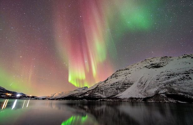 From Tromsø: OFFICIAL Northern Lights Safari