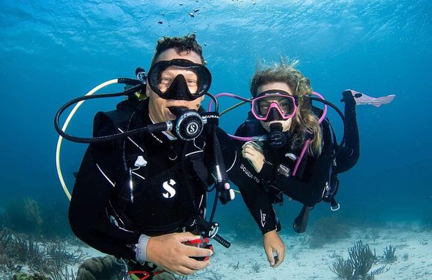guided Shore Diving in Bonaire Marine Park with 2 Dives