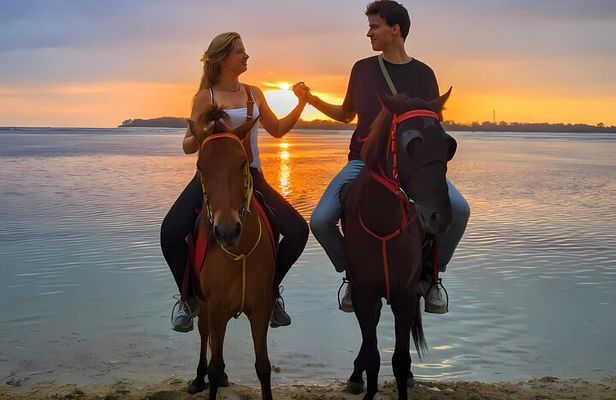 Gili Air 1 Hour Horseback Beach Adventure