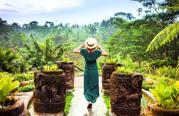 Bali: Monkey Forest, Rice Terrace and Ubud Market Guided Tour