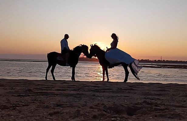 Gili Meno Horse Riding Adventure on the Beach for 1 Hour