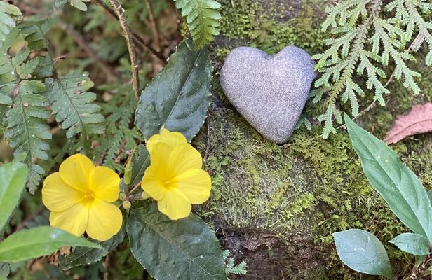 4 Day Yoga Hiking and Sound Healing Retreat in Nepal