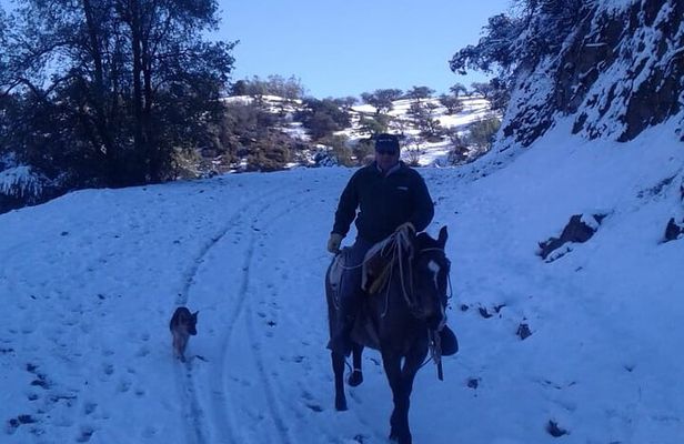 Horseback Riding in Santiago with Andes Views and Hotel Pickup
