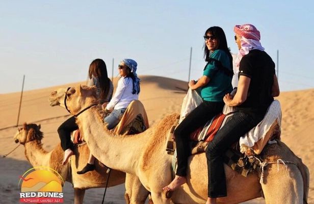 Dubai Morning & evening Desert Safari Tours