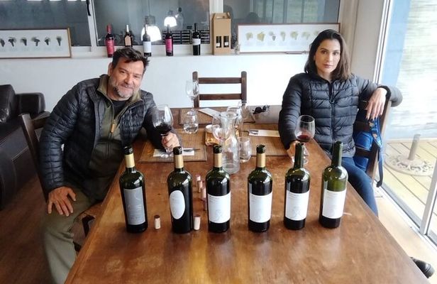 Visit to Legendary Winery in Montevideo