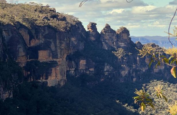 Blue Mountains and Australian Native Animals