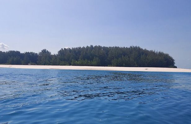 Mnemba Island Snorkeling and Dolphin tour
