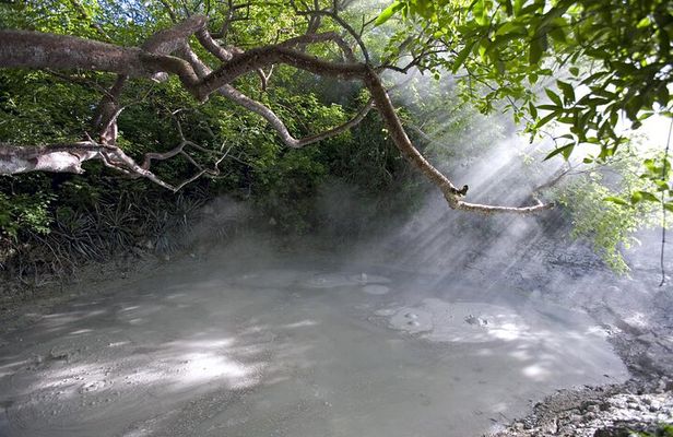 Private Tour Rincón de la Vieja Volcano and Oropendola Waterfall