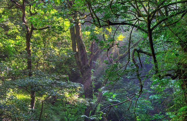 Private Tour Diria National Park Unspoken Hiking and Nature
