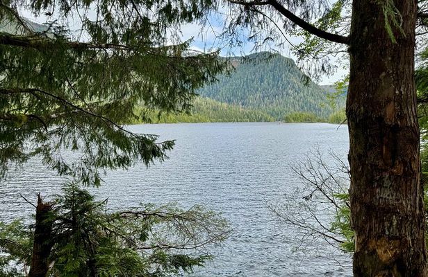 Explore Tongass National Forest on Connell Lake Trail Hike