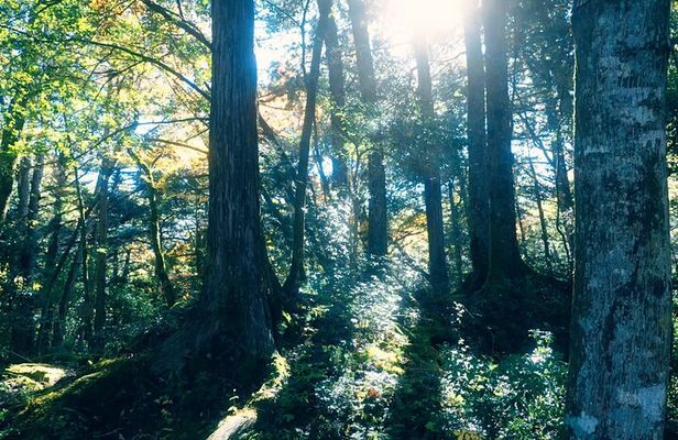 Fuji Photo Tour