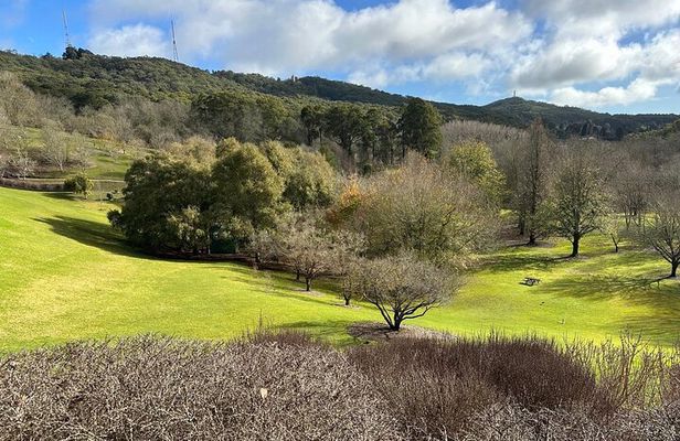 Hahndorf and Hills Wildlife Wonders
