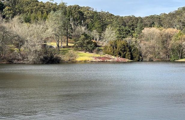 Adelaide Cruise Ship Tours to Hahndorf & Hills Wildlife Wonders