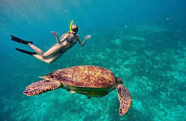 Gili Air : Private Snorkeling with 4 spots