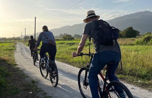 Countryside Biking Tour in Langkawi