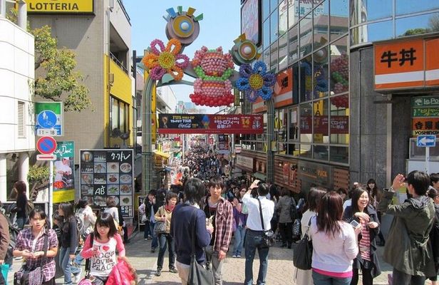 Tokyo Private Tour with English Pro Guide in Luxury Vehicle