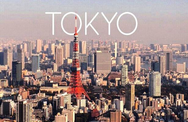 Private 1-Day Tokyo city tour with English speaking Driver
