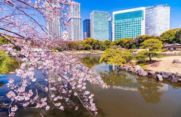 Tokyo: Japanese Garden Walking Tour with Tea and Sweets