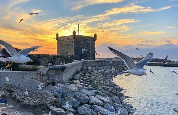 Essaouira Mogador & Atlantic Ocean Sightseeing Private Day Trip 