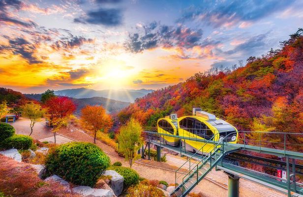 Pocheon Art Valley, Garden & Fruit Picking Day Tour from Seoul