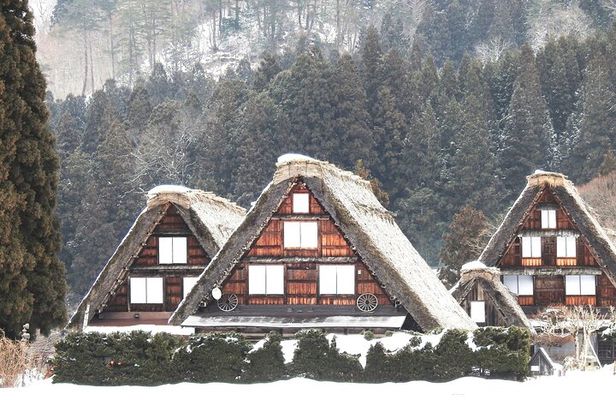 1-Day Shirakawago & Takayama Tour (Round Trip from Kanazawa)