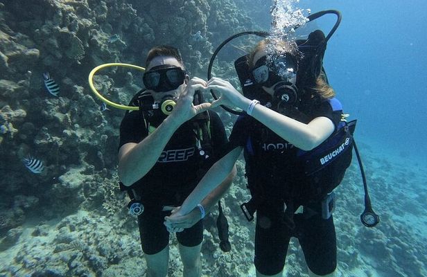 Tauchen für Anfänger in Hurghada (ohne Zertifikat)
