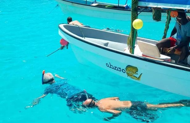 Mnemba Island Snorkeling and Swimming with Dolphin