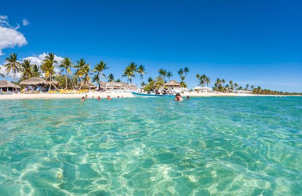 Catalina Island Tour Snorkel Beach Dominican Lunch