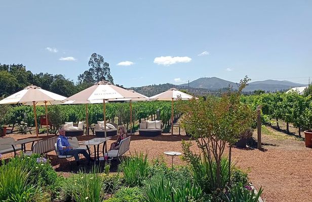 Wine Tour Casas del Bosque+Bodegas RE Vineyards Casablanca Valley