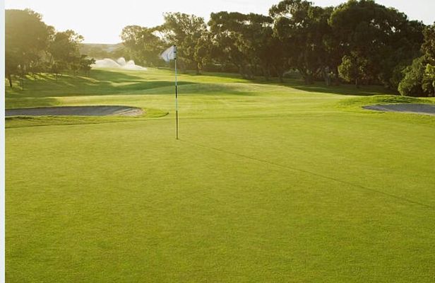 Experiencing Playing Golf in Stellenbosch and Wine Tasting