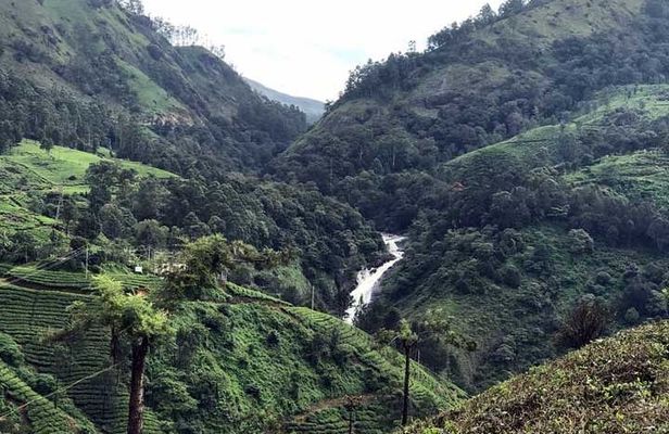 Private One Week Kerala Tour